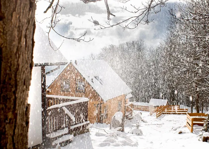 度假居 Pod Lipami *