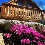 Vakantiehuis Pod Lipami *